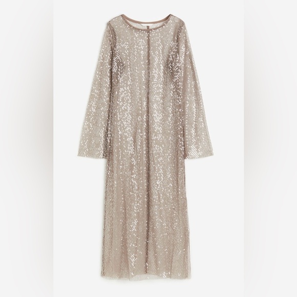 H&M Women’s sequin Beige Mesh dress Brand new Sz Large - Picture 1 of 15